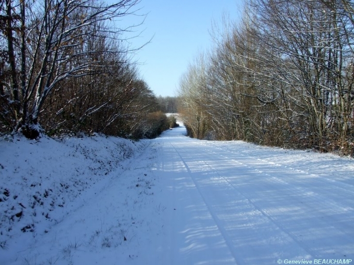 Route de Neuillé-Pont-Pierre - Semblançay