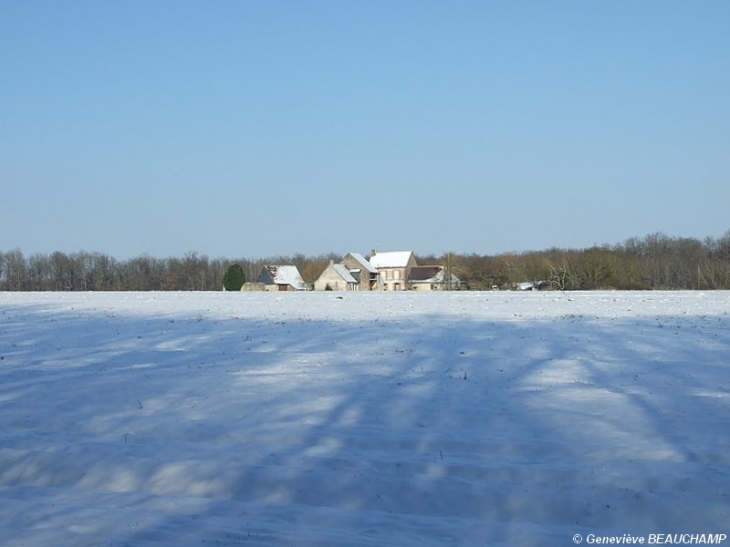 Ferme isolée - Semblançay