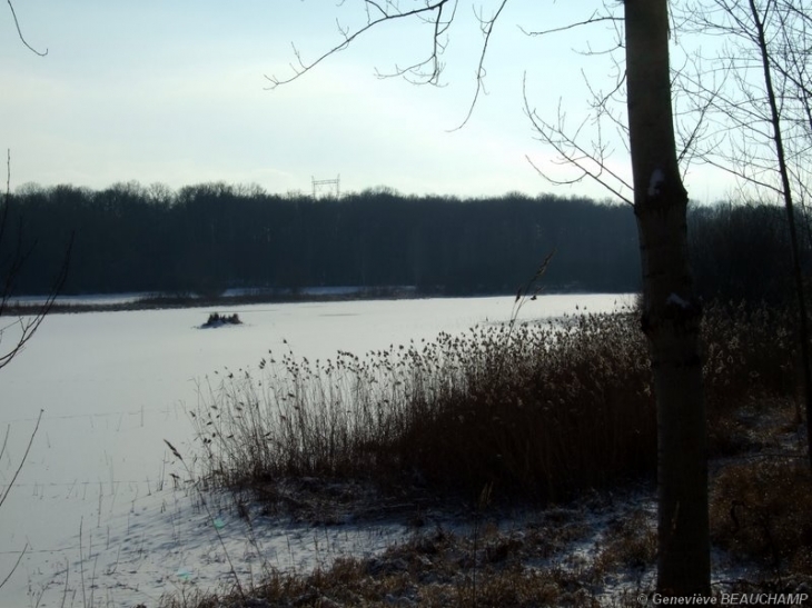 L'Etang de Belleville - Semblançay