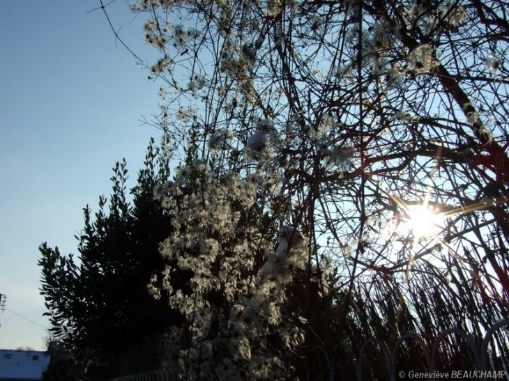 Contre jour - Semblançay