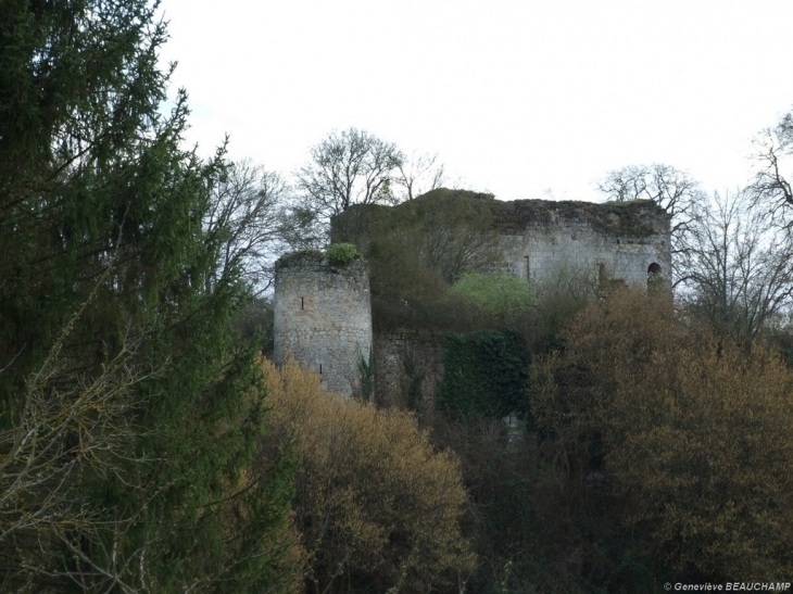 Ruines de l'ancien château - Semblançay