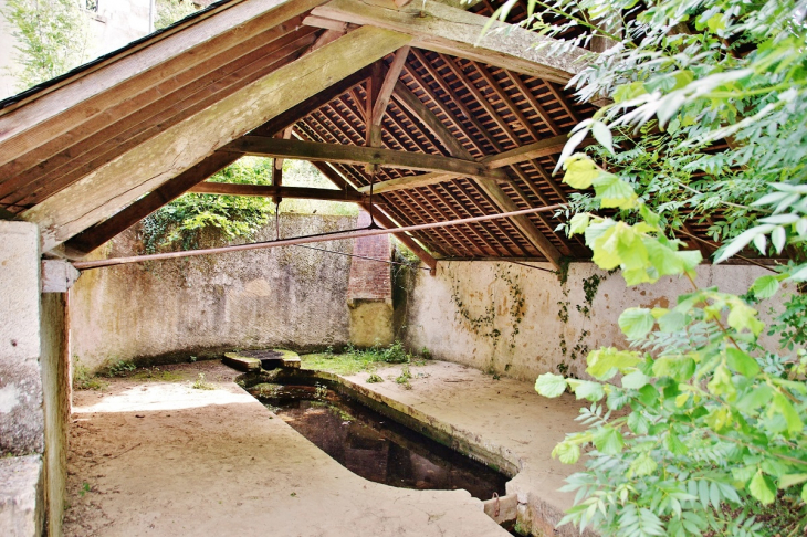 Le Lavoir - Souvigny-de-Touraine