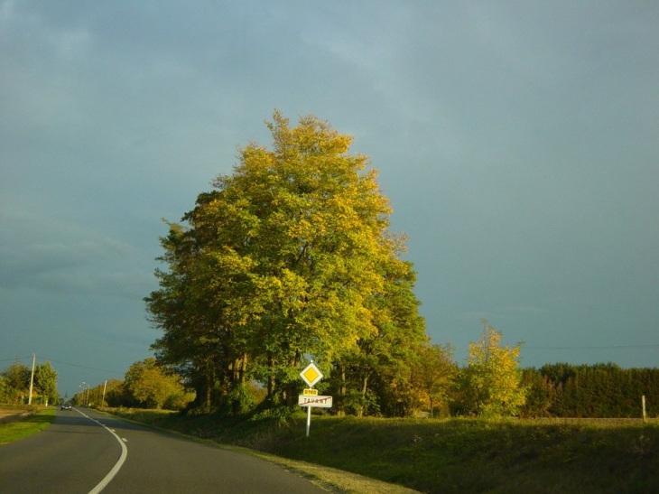 Couleur d'automne en Touraine - Tavant