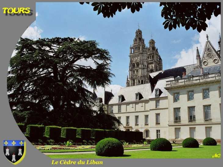 Musée des Beaux Arts - Tours