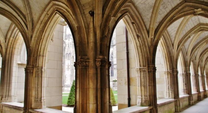 Le Cloître - Tours