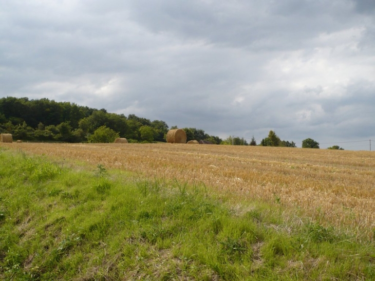 Rouleau de paille - Trogues