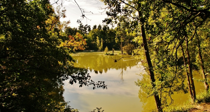 étang du Camping - Trogues