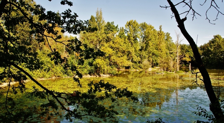 étang du Camping - Trogues