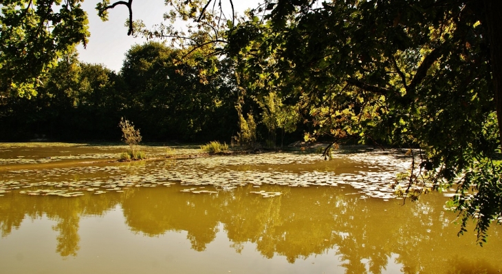 étang du Camping - Trogues