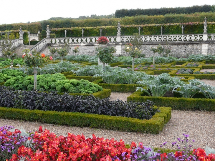 Les jardins - Villandry