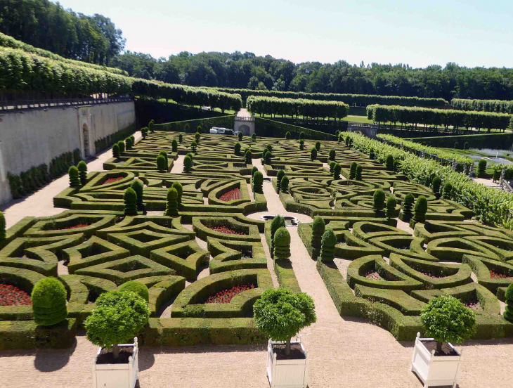 Le jardin d'ornement - Villandry