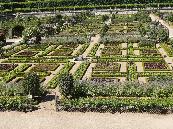 Le jardin potager - Villandry