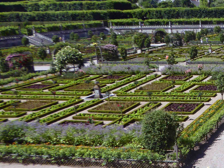 Le jardin potager - Villandry