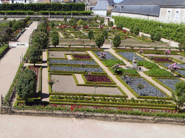 Le jardin potager - Villandry