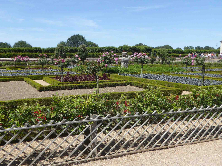 Le jardin potager - Villandry