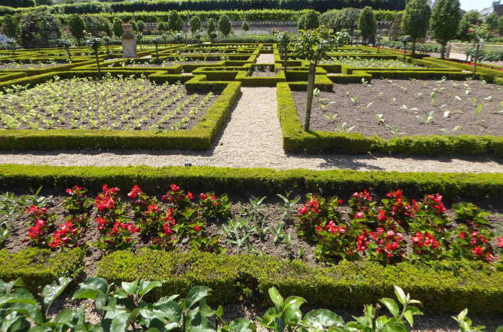 Le jardin potager - Villandry