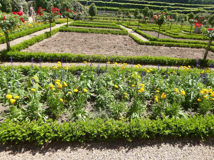 Le jardin potager - Villandry