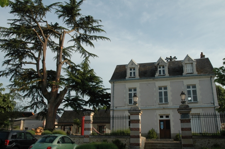 La mairie et le cèdre - Villedômer