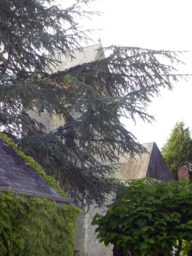 L'ancienne église du 12ème siècle derrière les arbres - Villeloin-Coulangé