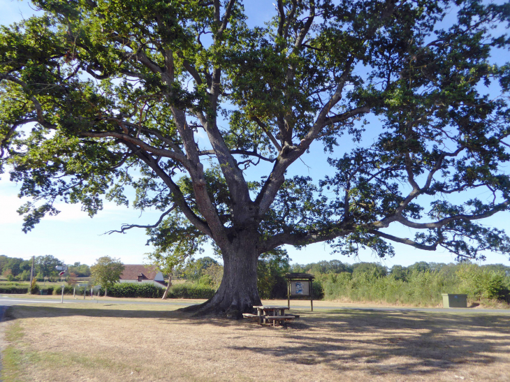 Arbre remarquable - Briantes