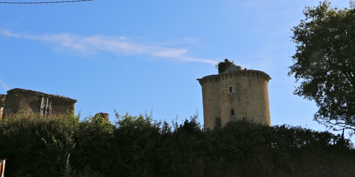 Le château de la Prune au Pot. - Ceaulmont