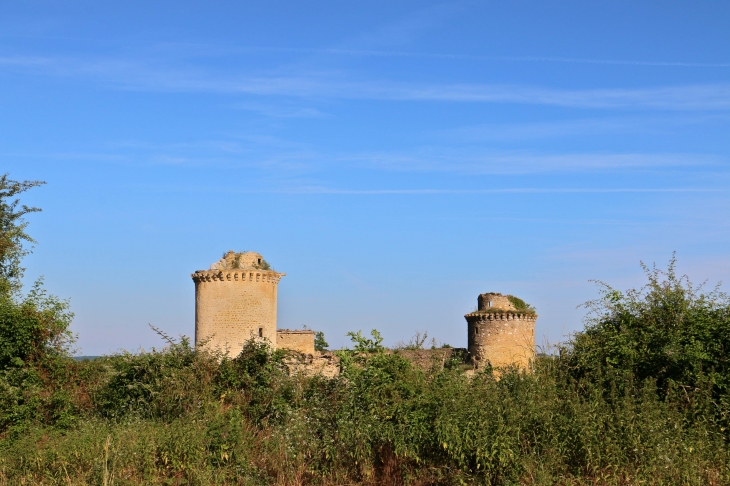 Le château de la Prune au Pot doit son nom à la famille Pot (de 1300 à 1484). La Tour carrée, les courtines ouest et nord et les douves datent du XIIIe siècle.  - Ceaulmont