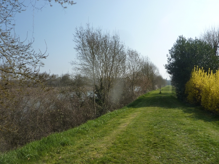 Chemin de rando le long du Cher - Chabris