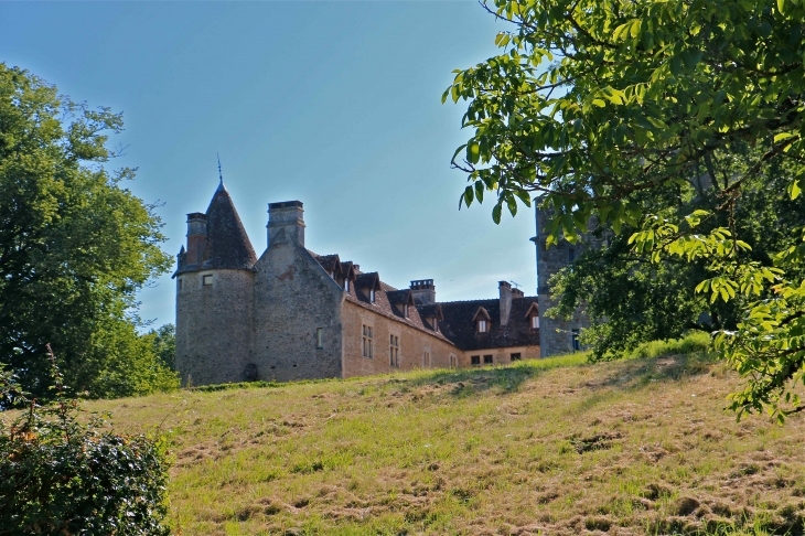 Le château de Romefort. - Ciron