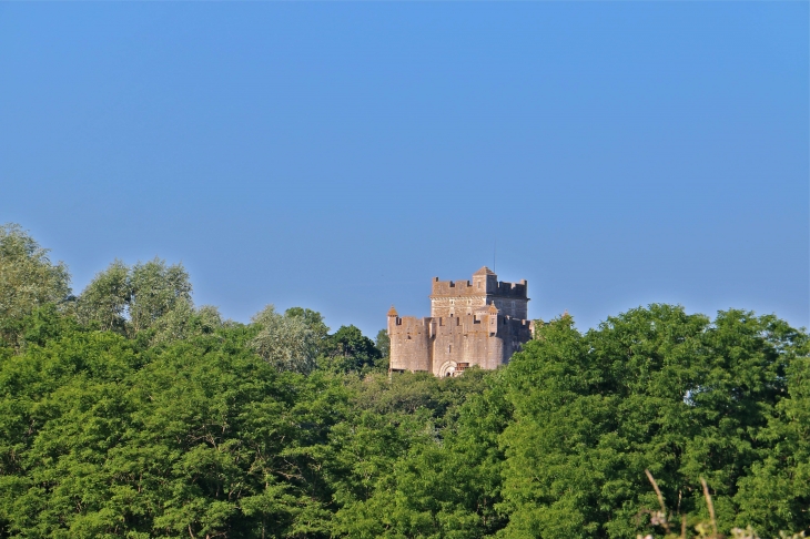 Le-chateau-de-romefort, château médiéval du XIIe siècle. - Ciron