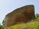 Photo précédente de Cluis Ruines de la forteresse de Cluis-Dessous. Donjon du XIIème siècle sur motte.