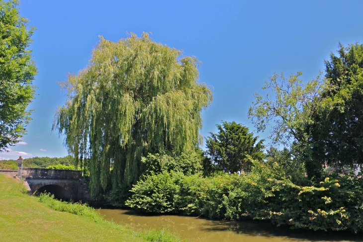 Le Suin et le pont de la D43. - Douadic