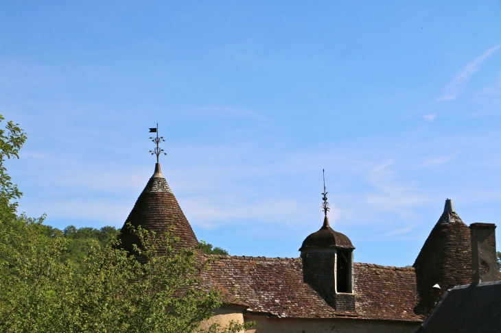 Les paratonnerres du chateau. - Gargilesse-Dampierre