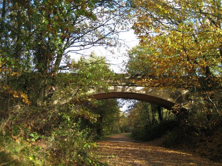 La voie verte, entre le viaduc et la gare du BLANC. - Le Blanc