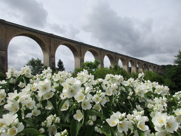 Le viaduc..... du..... BLANC (Indre). - Le Blanc