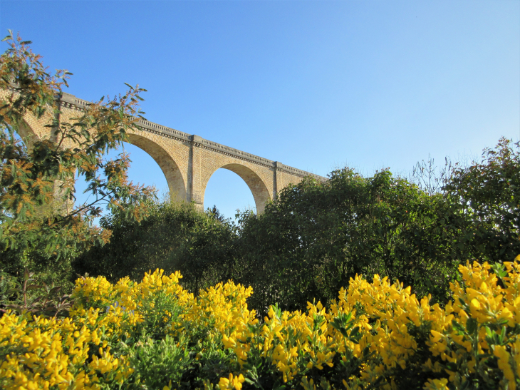 Le viaduc du BLANC (Indre). - Le Blanc