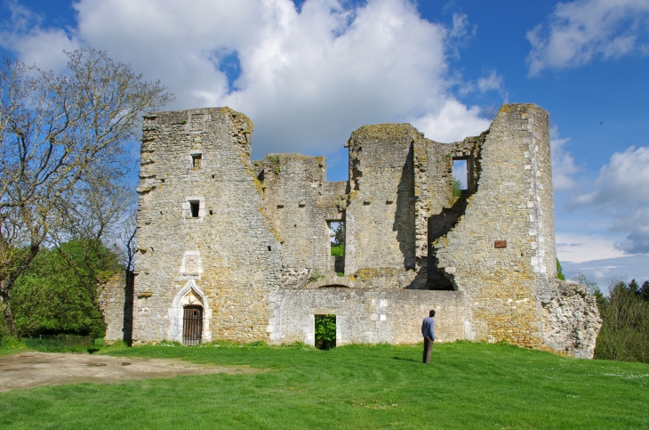 Le château de Levroux.