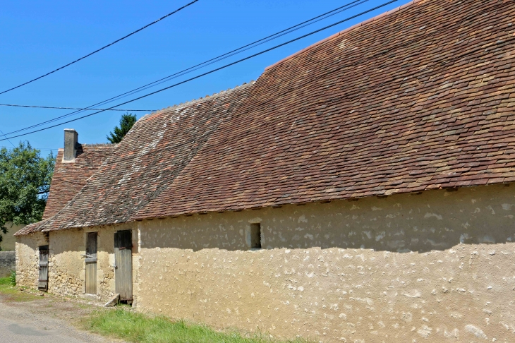 Aux alentours. - Lureuil