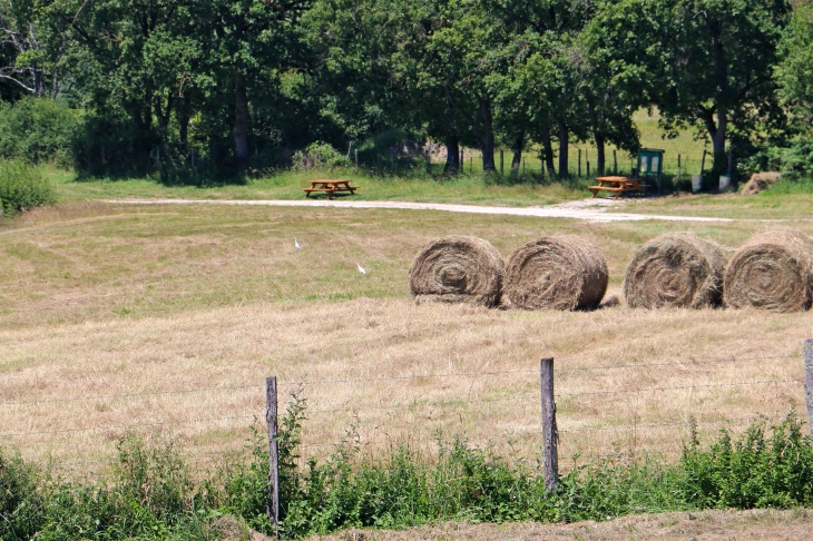 Autour du colombier. - Lureuil