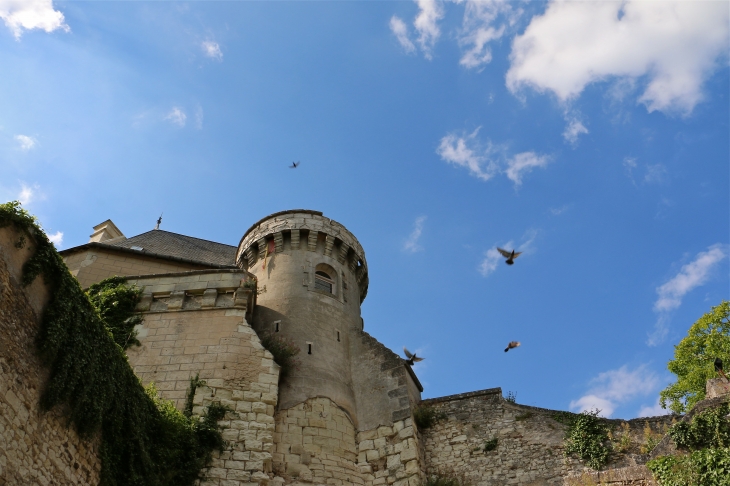 Une des Tours du château. - Palluau-sur-Indre