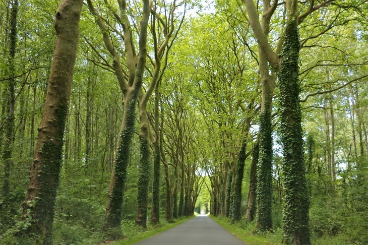 Pour arriver au village par la D15 - Palluau-sur-Indre