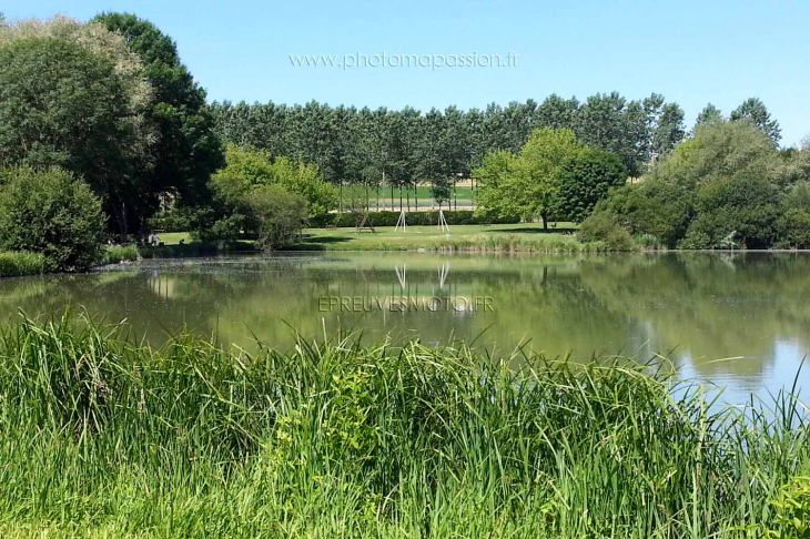 Etang des Buissons à Pellevoisin