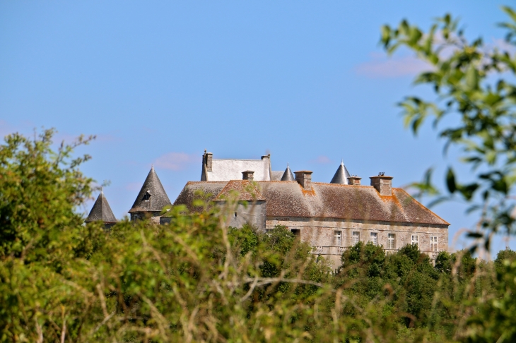 Le château du Bouchet du XIIIe au XVIIe siècles. - Rosnay