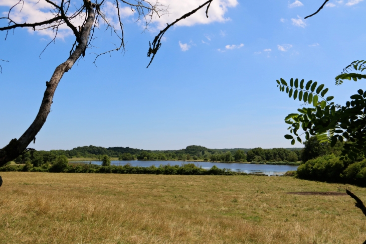 Près du château du Bouchet. - Rosnay