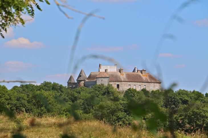 Le château du Bouchet du XIIIe au XVIIe siècles. - Rosnay