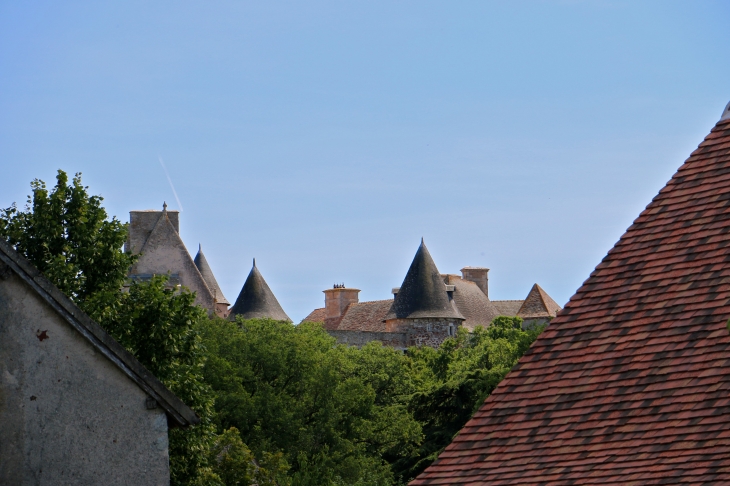 Le château du Bouchet du XIIIe au XVIIe siècles. - Rosnay