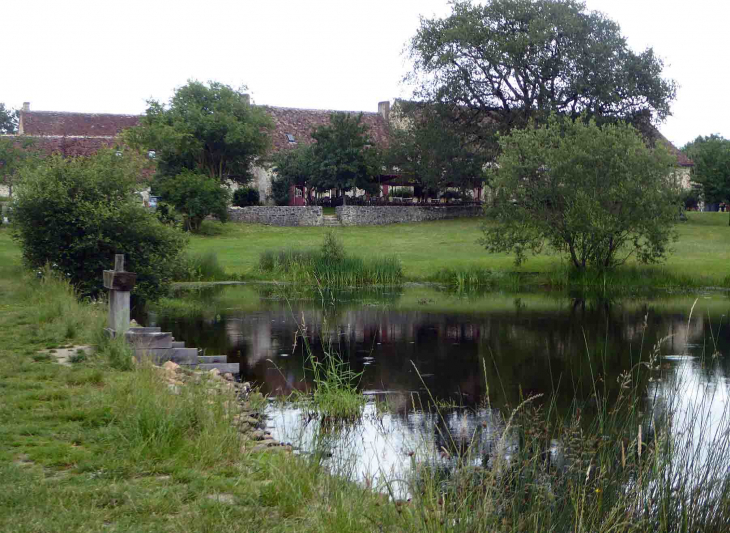 Le Bouchet : maison du Parc et étangs de la Brenne - Rosnay