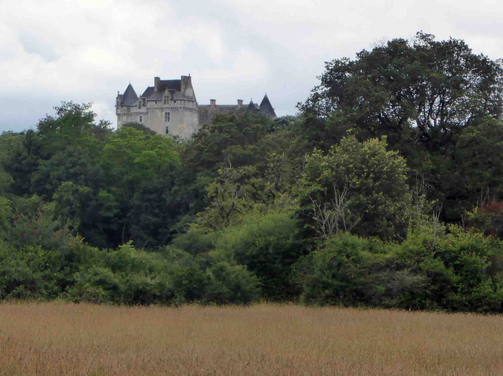 Le Bouchet : le château - Rosnay