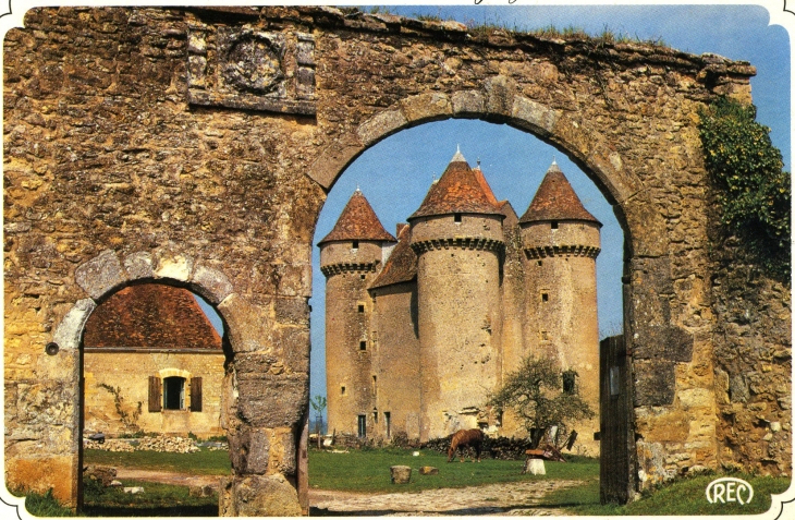 Le Château du XV° (carte postale de 1980) - Sarzay