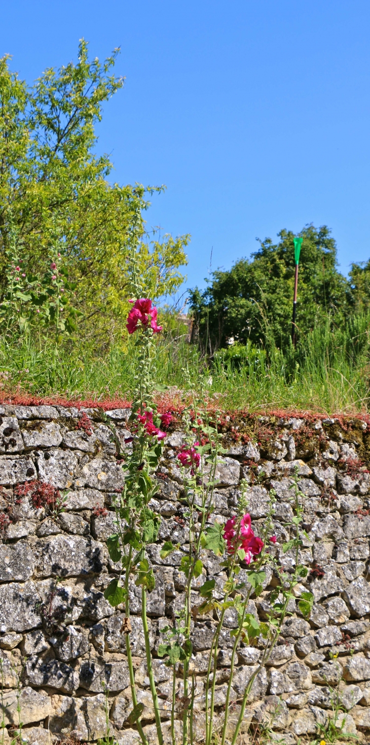 A l'entrée du village. - Sauzelles