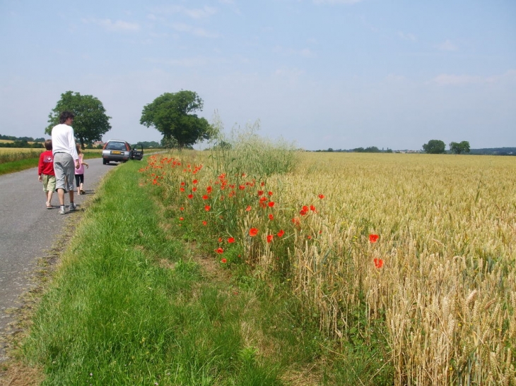 Route de thenay